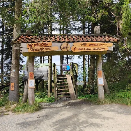 Appartement Hahnenklee - Harz, Balkon & Parkplatz *