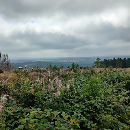 Hahnenklee - Harz, Balkon & Parkplatz * Goslar