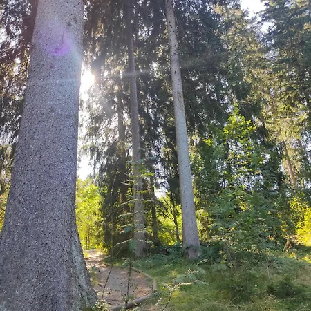 Hahnenklee - Harz, Balkon & Parkplatz