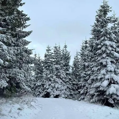Hahnenklee - Harz, Balkon & Parkplatz * Goslar