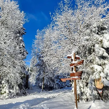 Hahnenklee - Harz, Balkon & Parkplatz