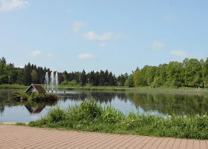 Hahnenklee - Harz, Balkon & Parkplatz * 戈斯拉尔