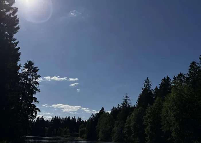 Hahnenklee - Harz, Balkon & Parkplatz 公寓