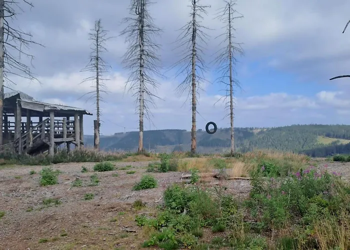 Appartement Hahnenklee - Harz, Balkon & Parkplatz