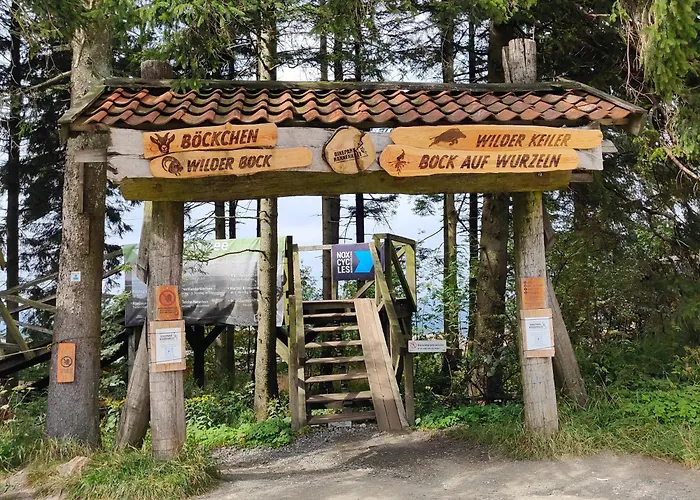 公寓 Hahnenklee - Harz, Balkon & Parkplatz *