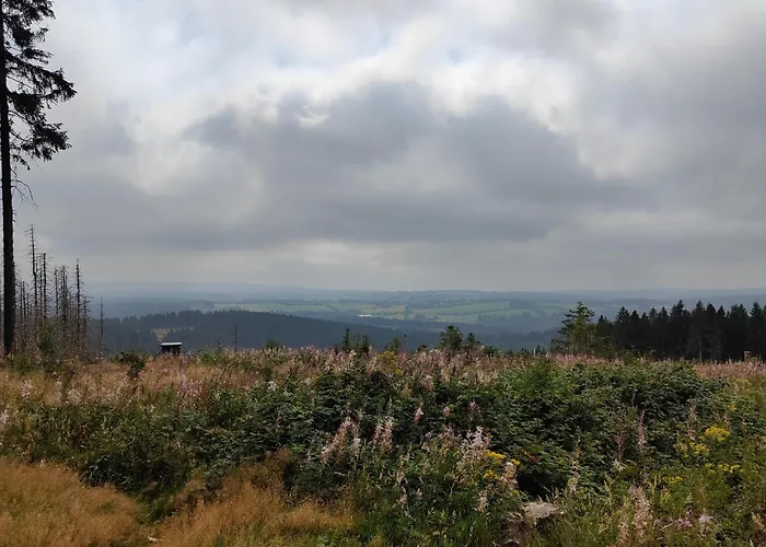 Hahnenklee - Harz, Balkon & Parkplatz Appartement Goslar