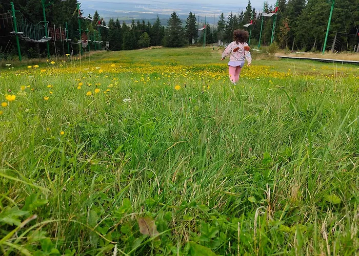 Hahnenklee - Harz, Balkon & Parkplatz Appartement Goslar