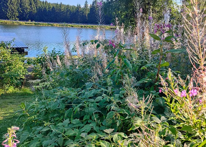 Hahnenklee - Harz, Balkon & Parkplatz Goslar