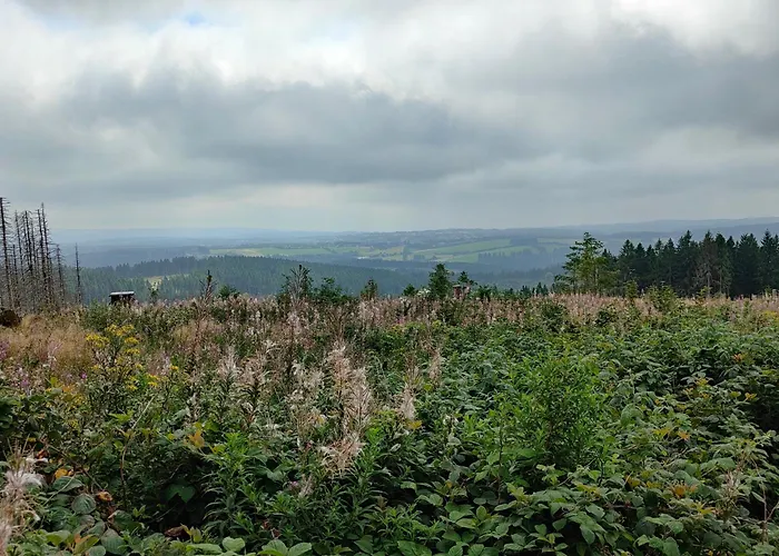 Hahnenklee - Harz, Balkon & Parkplatz * Goslar