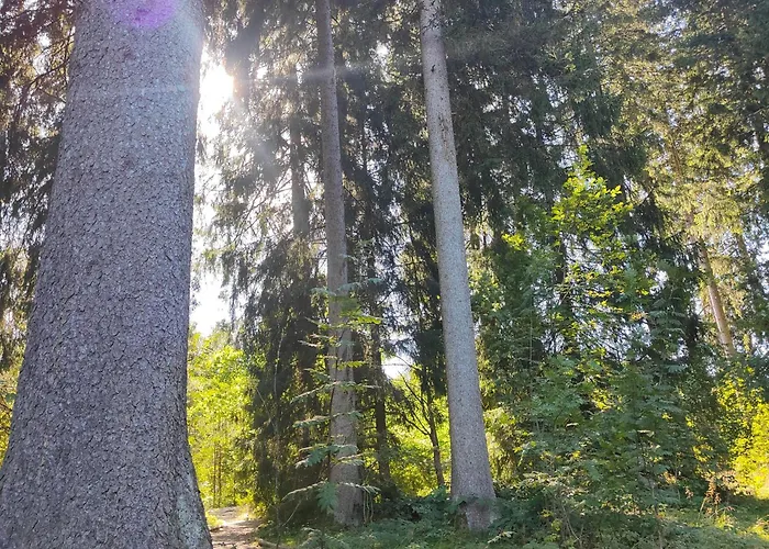 Hahnenklee - Harz, Balkon & Parkplatz