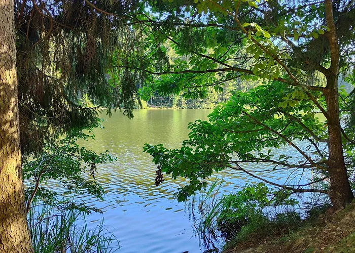 公寓 Hahnenklee - Harz, Balkon & Parkplatz *