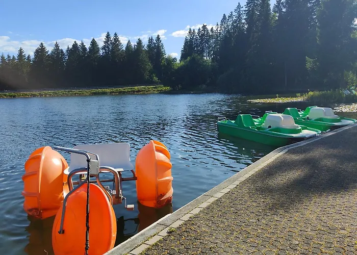 Hahnenklee - Harz, Balkon & Parkplatz