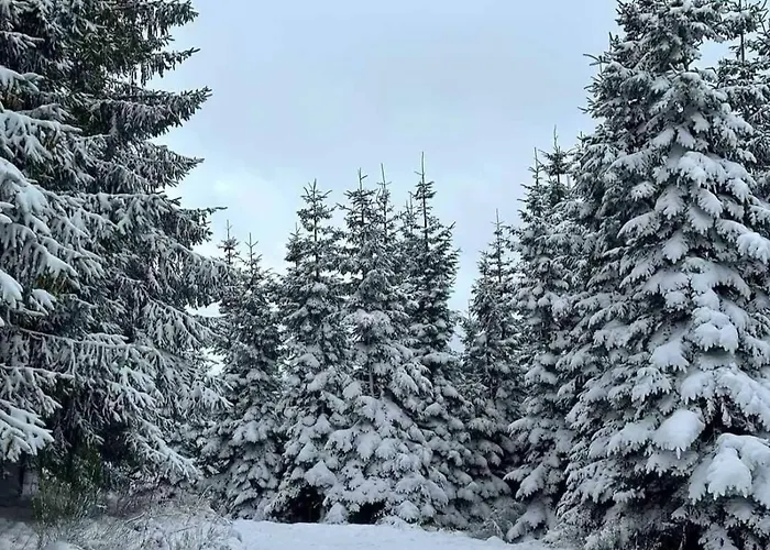 Hahnenklee - Harz, Balkon & Parkplatz * Goslar
