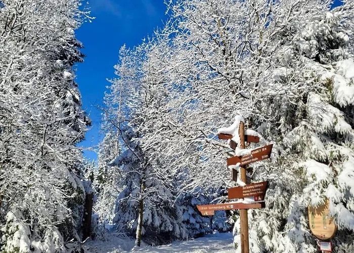 Hahnenklee - Harz, Balkon & Parkplatz